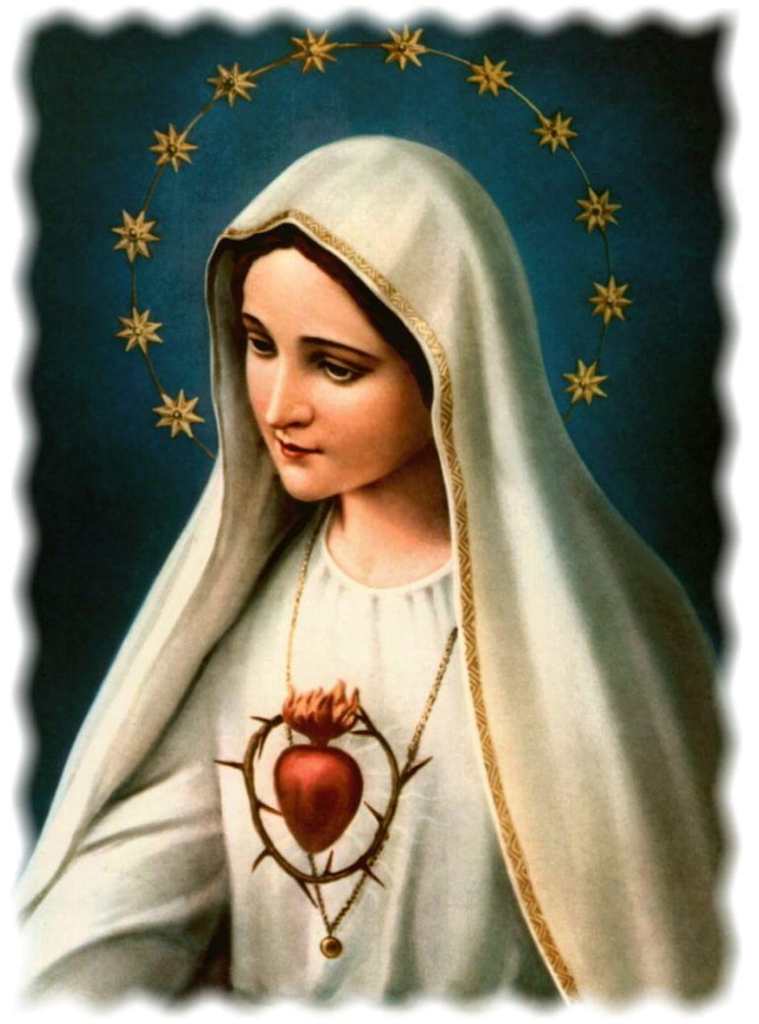 O atributo alt desta imagem está vazio. O nome do arquivo é coracao_imaculado_de_maria_de_fatima.jpg