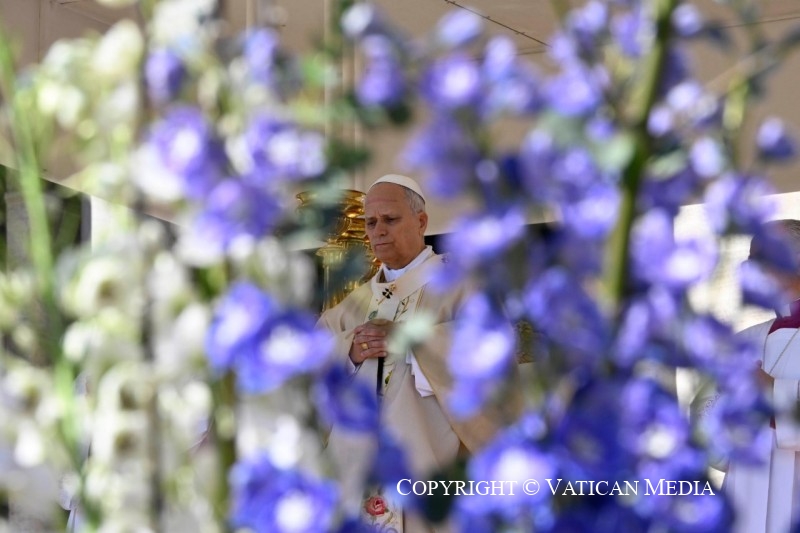 CONHECENDO PARA AMAR